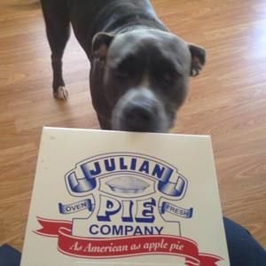 Meet your Posher, Kenny